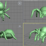 Tarantula 3D Design